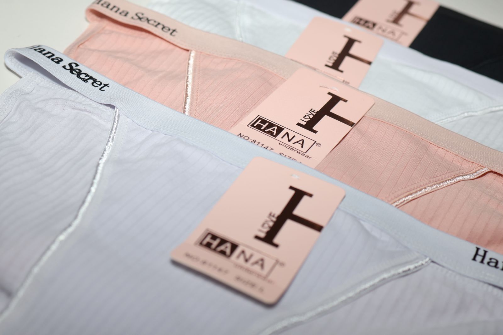 Tanga HANA PAQ X4