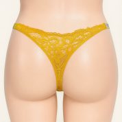 WhatsApp Image 2025-10-14 at 5.27.13 PM