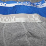 WhatsApp Image 2025-10-15 at 8.36.40 PM