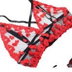 WhatsApp Image 2025-10-24 at 11.54.13 AM (3)