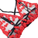 WhatsApp Image 2025-10-24 at 11.54.14 AM (3)