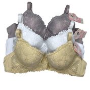 WhatsApp Image 2025-10-28 at 11.37.53 AM (1)