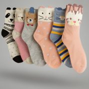 WhatsApp Image 2025-10-28 at 5.02.47 PM