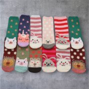 WhatsApp Image 2025-11-10 at 3.25.07 PM