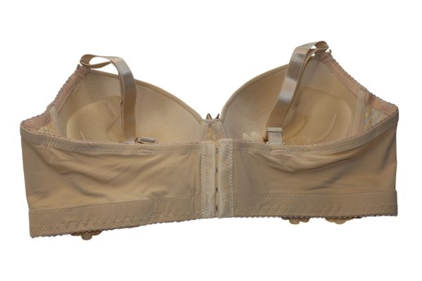 WhatsApp_Image_2025-10-10_at_2.19.10_PM_(2)[1]