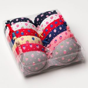 Paquete Cerrado de Brassieres PAQ X12